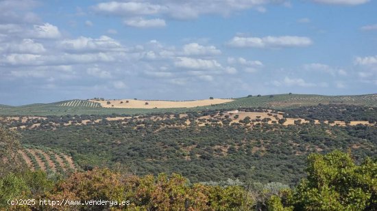 SE VENDE TERRENO RUSTICO CON VISTAS AL VALLE - Guarromán