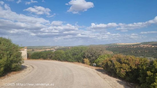 SE VENDE TERRENO RUSTICO CON VISTAS AL VALLE - Guarromán