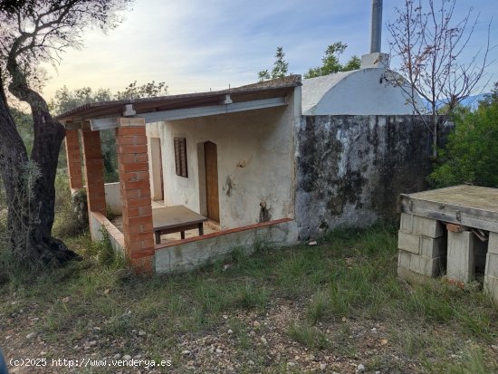 Suelo rústico en Venta en Godall Tarragona