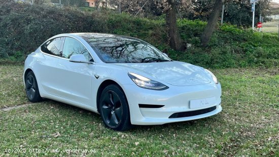  Tesla Model 3 Standard Plus 306cv - Gurb 