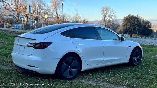 Tesla Model 3 Standard Plus 306cv - Gurb