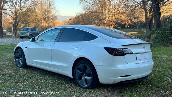 Tesla Model 3 Standard Plus 306cv - Gurb