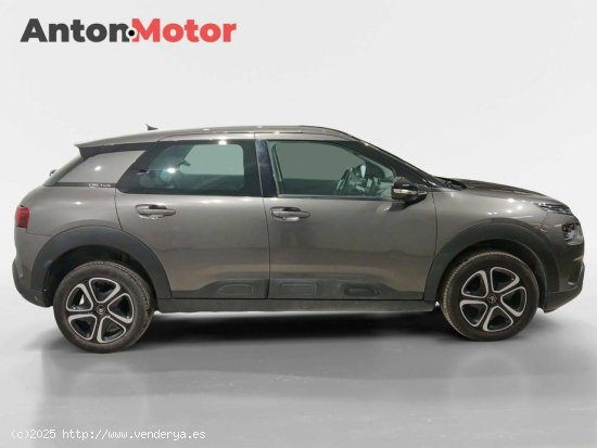 Citroën C4 Cactus  BlueHDi 73KW (100CV) Feel - VITORIA