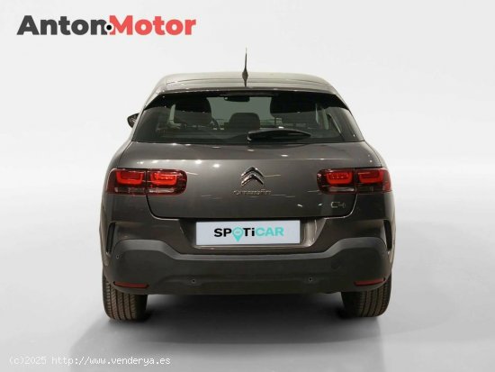 Citroën C4 Cactus  BlueHDi 73KW (100CV) Feel - VITORIA