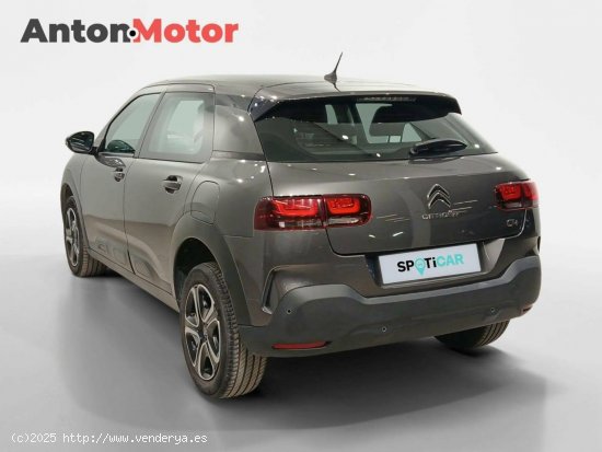 Citroën C4 Cactus  BlueHDi 73KW (100CV) Feel - VITORIA