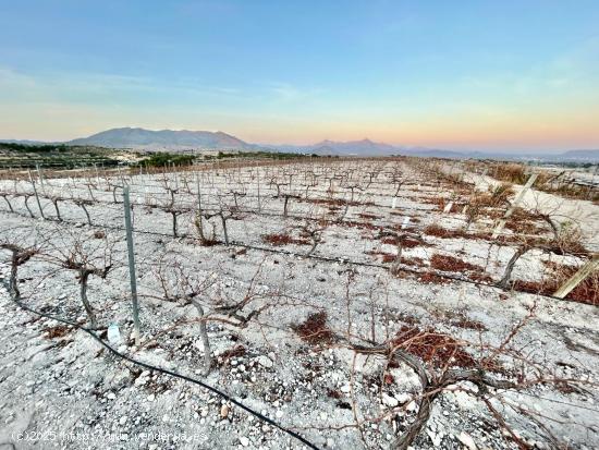  Finca rustica en Novelda - ALICANTE 