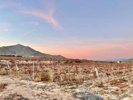 Se Vende en La Romana - ALICANTE