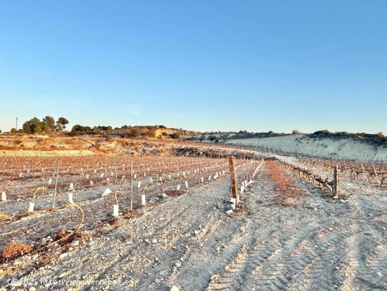 Se Vende en Novelda - ALICANTE