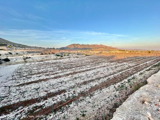  Se Vende en La Romana - ALICANTE 