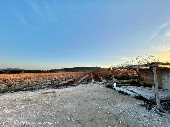 Se Vende en La Romana - ALICANTE