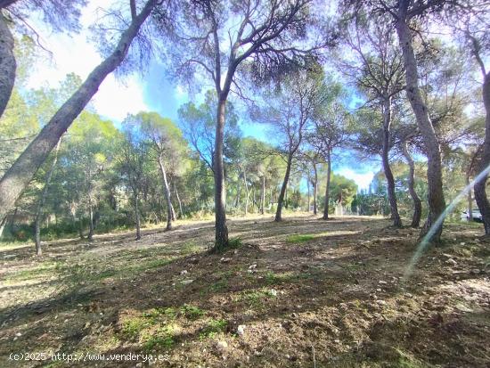 Parcela de 873 m2 en la Fase A de Finca Terol - ALICANTE