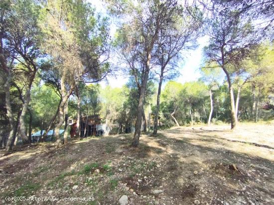 Parcela de 873 m2 en la Fase A de Finca Terol - ALICANTE