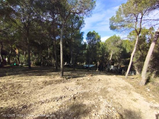 Parcela de 873 m2 en la Fase A de Finca Terol - ALICANTE