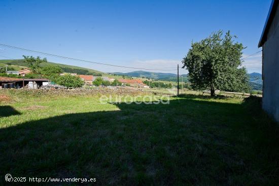 LIENZO EN BLANCO - CANTABRIA