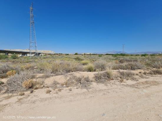 TERRENO NO URBANIZABLE - PRÓXIMO A LA UNIVERSIDAD - ALICANTE