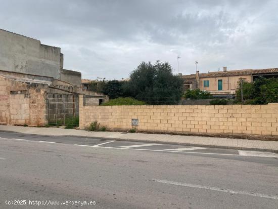  Se vende terreno urbano en Porreras - BALEARES 