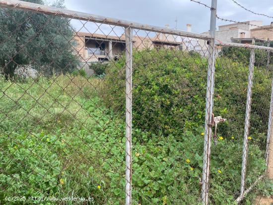 Se vende terreno urbano en Porreras - BALEARES