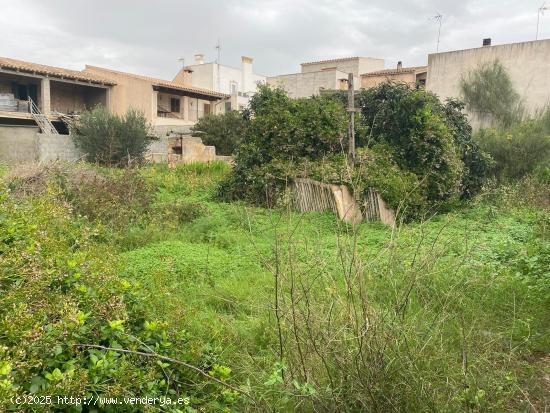 Se vende terreno urbano en Porreras - BALEARES