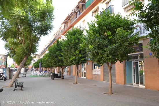  Alquiler local comercial en Camas (Sevilla) - SEVILLA 