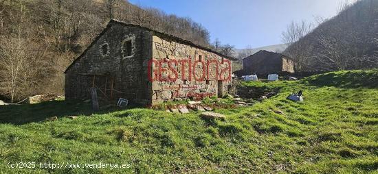 Se Vende en Vega de Pas - CANTABRIA