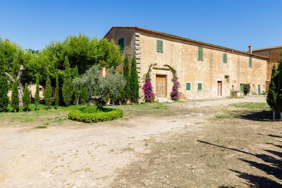  FINCA RÚSTICA EN VENTA EN LA ZONA DE SON FERRIOL - BALEARES 