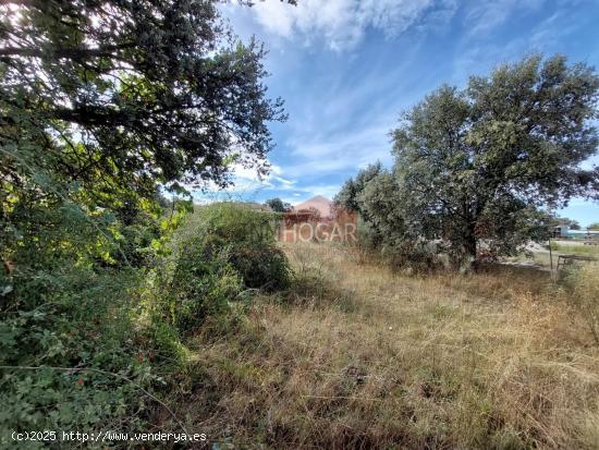 PARCELA EN EL TÉRMINO DE MAELLO, URBANIZACIÓN DE LA FONTANILLA  05291 - AVILA