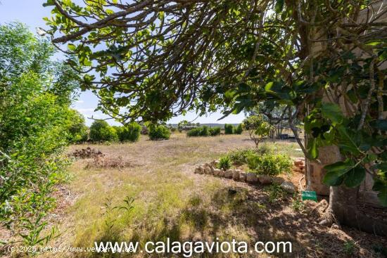 Nave agrícola en el término de Campos a 6 km de Colonia Sant Jordi - BALEARES