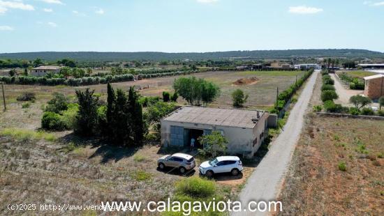 Nave agrícola en el término de Campos a 6 km de Colonia Sant Jordi - BALEARES