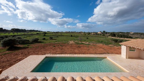 Finca en venta en Ses Salines (Baleares)