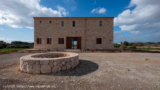 Finca en venta en Ses Salines (Baleares)