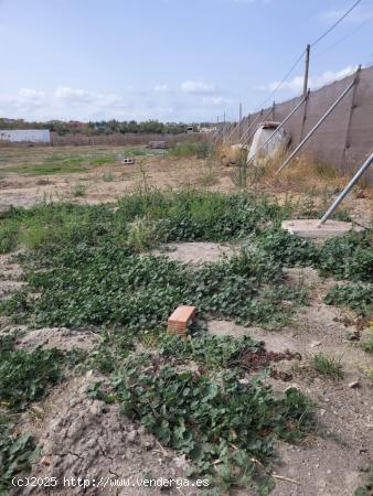 Parcela en el Marquesado segregada - CADIZ