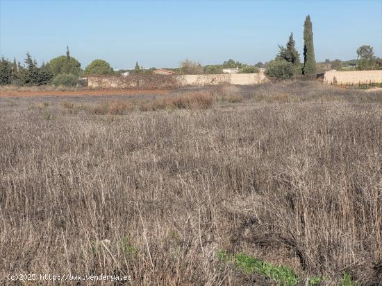  Parcela segregada en zona Hozanejo - CADIZ 