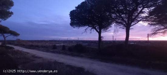 Parcela segregada en La Espartosa - CADIZ