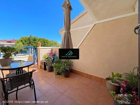 Apartamento en alquiler en Orihuela (Alicante)