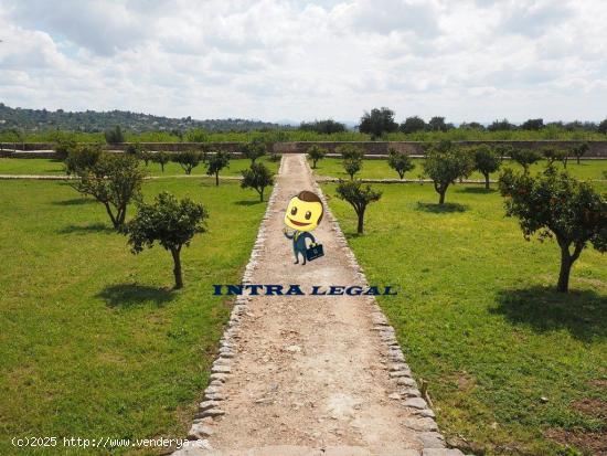  Finca rústica en la comarca de Vitigudino , 10 hectáreas! - SALAMANCA 