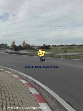 TERRENO RÚSTICO EN VITIGUDINO. - SALAMANCA