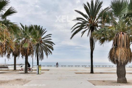 El Poblenou - Obra nueva - BARCELONA