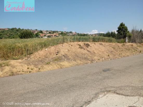 TERRENO EN CUEVAS BAJAS!!! - CORDOBA