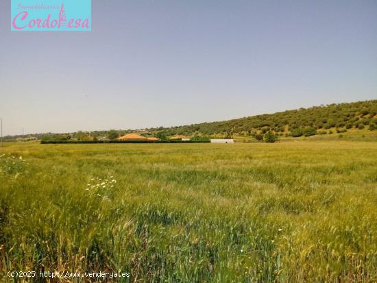 TERRENO EN CUEVAS BAJAS!!! - CORDOBA