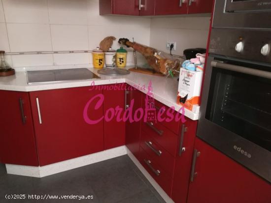 CONJUNTO DE 2 CASAS Y 4 APARTAMENTOS EN ZONA RIBERA!!!. - CORDOBA