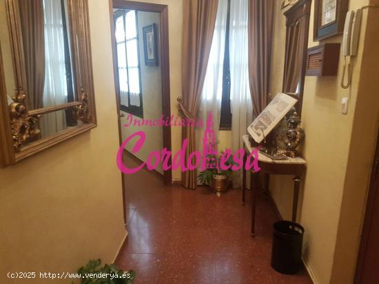 FANTASTICO PISO JUNTO AL AYUNTAMIENTO, CON 5 DORMITORIOS!!! - CORDOBA