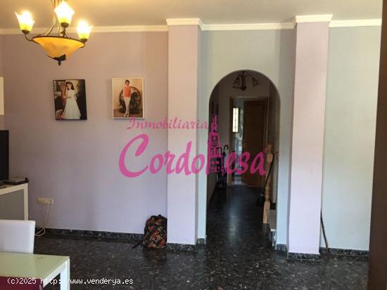 MAGNIFICA CASA EN ALCOLEA. - CORDOBA