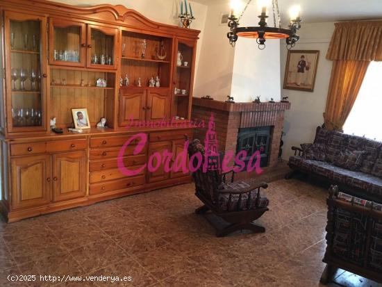 MAGNIFICA CASA CON TERRENO EN ALCOLEA. - CORDOBA