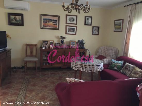 MAGNIFICO CASA CON TERRRENO EN ALCOLEA!! - CORDOBA