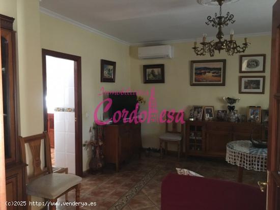 MAGNIFICO CASA CON TERRRENO EN ALCOLEA!! - CORDOBA