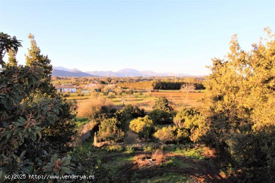  Finca Rústica en Llubí - BALEARES 