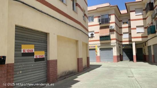  Local Comercial - GRANADA 