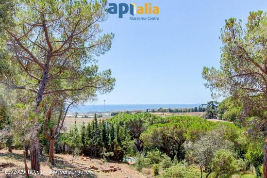 Terreno con vistas en camí sant crist vell 21 -Cabrils - BARCELONA