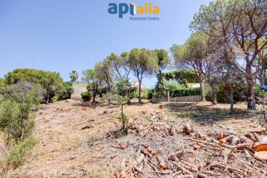 Terreno con vistas en camí sant crist vell 21 -Cabrils - BARCELONA