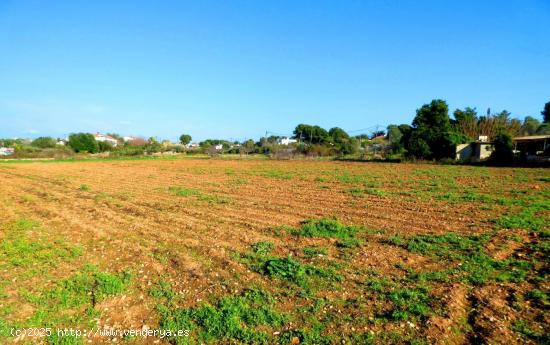 Finca rústica en Camí Vell de Cubelles con casa a rehabilitar - BARCELONA